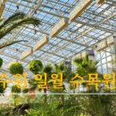 일월커피집 이미지