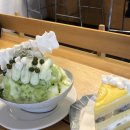 별이와콩이 | 🍧망원동 카페 포트레이트 커피바 | 여름 한정 완두 호지차 빙수, 레몬 커드 키위 케이크 솔직 후기💚