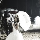 효민농장 이미지