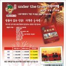 The 건강나무 이미지