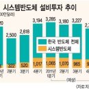 CCD출시를 통한 ISP와의 시너지 및 성장동력확보한 시스템반도체업체 이미지