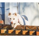 현민이네 이미지