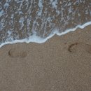 여명로25번길 이미지