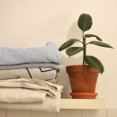 위생세탁전문 이미지