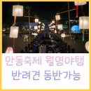 남반고택 | 안동월영야행 기본 정보 안동여행 후기 반려견동반