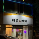 타코IN카페 이미지