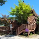 펜션 숲 이미지