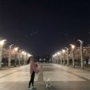 금이랑은이랑 이미지