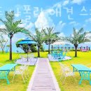 강화도 나폴리 애견 스파 풀빌라 펜션 이미지