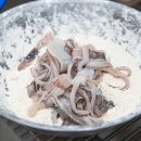 생생새우 이미지