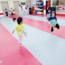 경희대 비트짐 태권도 이미지