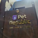 펫플릭 | 양평펫리조트 / 애견동반식당 애견동반펜션 펫리퍼블릭 콩이콩콩후기