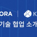 보라(Bora) 이미지