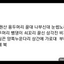 Re: 길삼 이미지