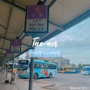 파도리 정류소 | 뚜벅이 태안여행 꿀팁 :: 버스시간표, 파도리해식동굴 가는법