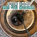선진앤크린 이미지