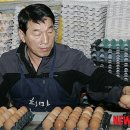 희만농장 이미지