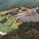 충청남도 산림박물관 이미지