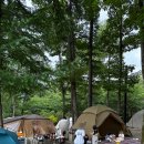 덕산국민여가캠핑장 | 강화도 덕산국민여가캠핑장 6월초 엄마랑아기랑 다녀온 후기! (순무데크)