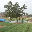 장재마을회관 이미지