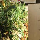 하늘꽃민박 이미지