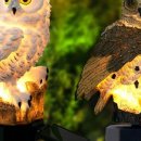 태양전기조명 이미지