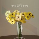 사계절에꽃 이미지