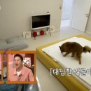 전진도장