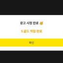 마이원 Daum카페