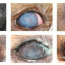 잠실미소약국 이미지