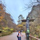 23.11.5 주왕산 주산지 절골계곡 가메봉 용추계곡 대전사탐방 이미지