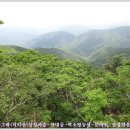삼정마을 이미지