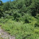 구송초 화성분교장 이미지