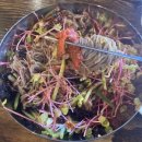 원조중원탑막국수(충북도청점) | 청주시내 막국수맛집 원조중원탑막국수 충북도청점