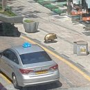 동광택시 이미지