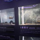 광명동굴 (제2주차장) | 광명 아이랑 가볼만한 곳 광명동굴 주차장, 입장료, 다녀온 후기
