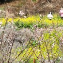 색달동-23 이미지