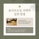 올리브독 이미지