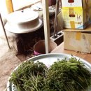 사리농장 이미지