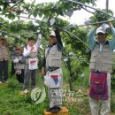 용계1리 연합뉴스