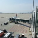 라온포켓클럽 | [도쿄 여행 1] 나리타 공항 도착, 캡슐호텔 댄디, 아키하바라 클럽 세가, 잇푸도 우에노점