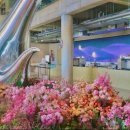 데이스테이 이미지