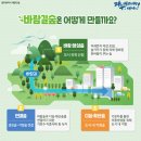 왕버들로 이미지