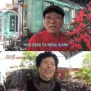 '세상에 이런일이' 연중무휴 무료 나눔 하우스 '도심 속 무릉도원'…일반 가정집 개방한 이유는? 이미지