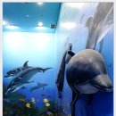 장생포고래박물관
