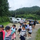 경희대상지효태권도 이미지