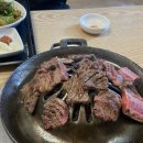2호선 센텀시티역 | 부산 센텀맥주축제 2025: 여름밤을 시원하게 적시는 무제한 맥주의 향연!