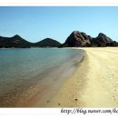 군산바다 이미지