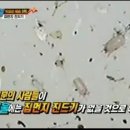 우진CS 이미지