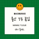 내니플레르 이미지